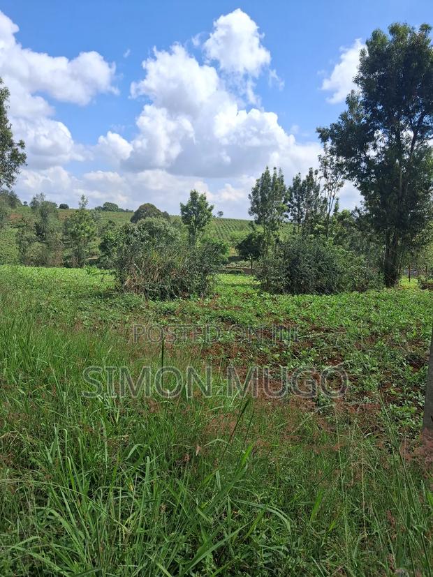 Kiambu Road Valley View Estate Prime Secure Fully Serviced 1/2 Ac - thumbnail 4
