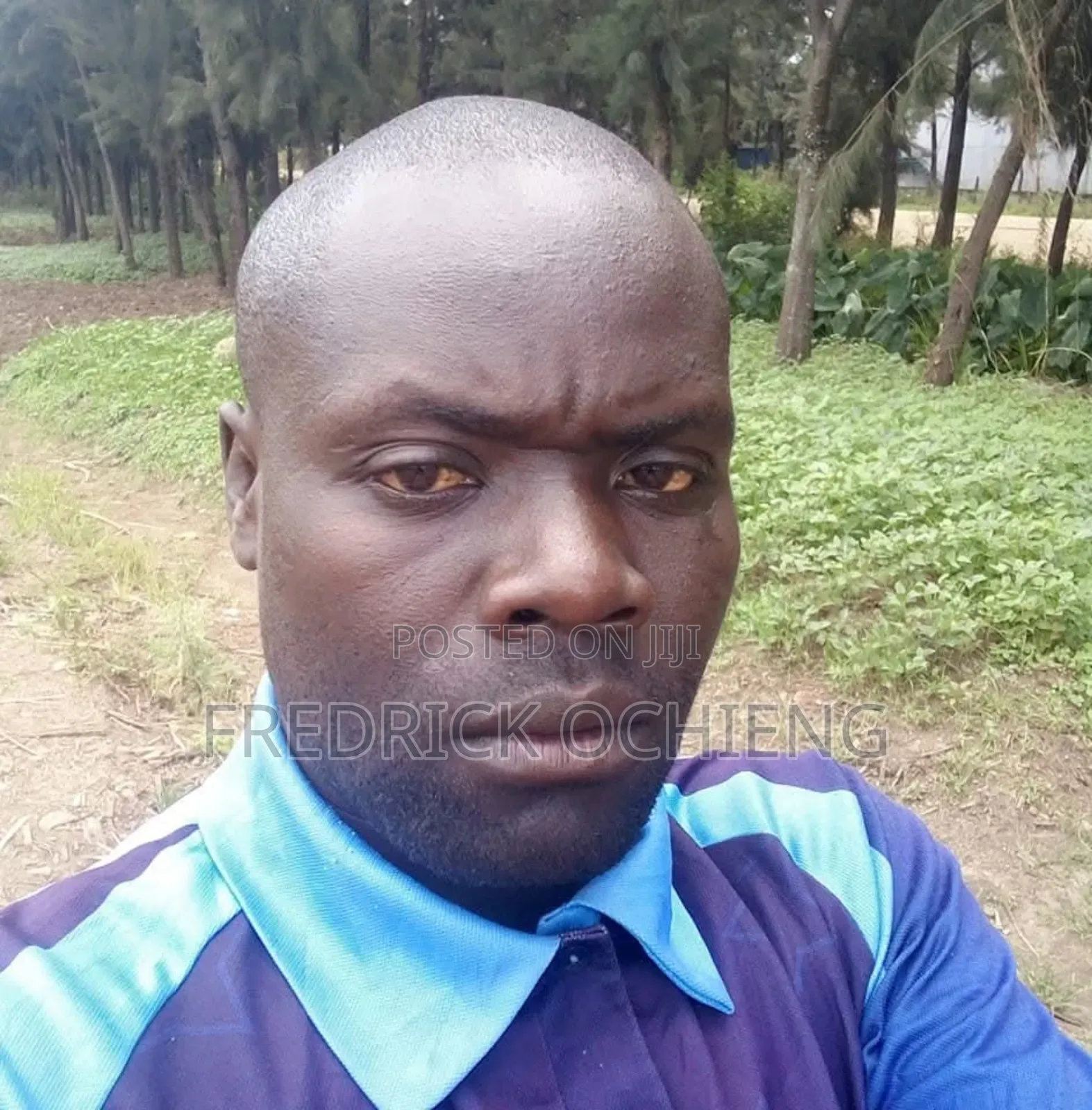 Tractor Driver in All Operation