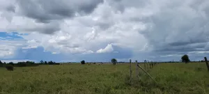 Prime 1/2 Acre Land for Sale in Kisaju