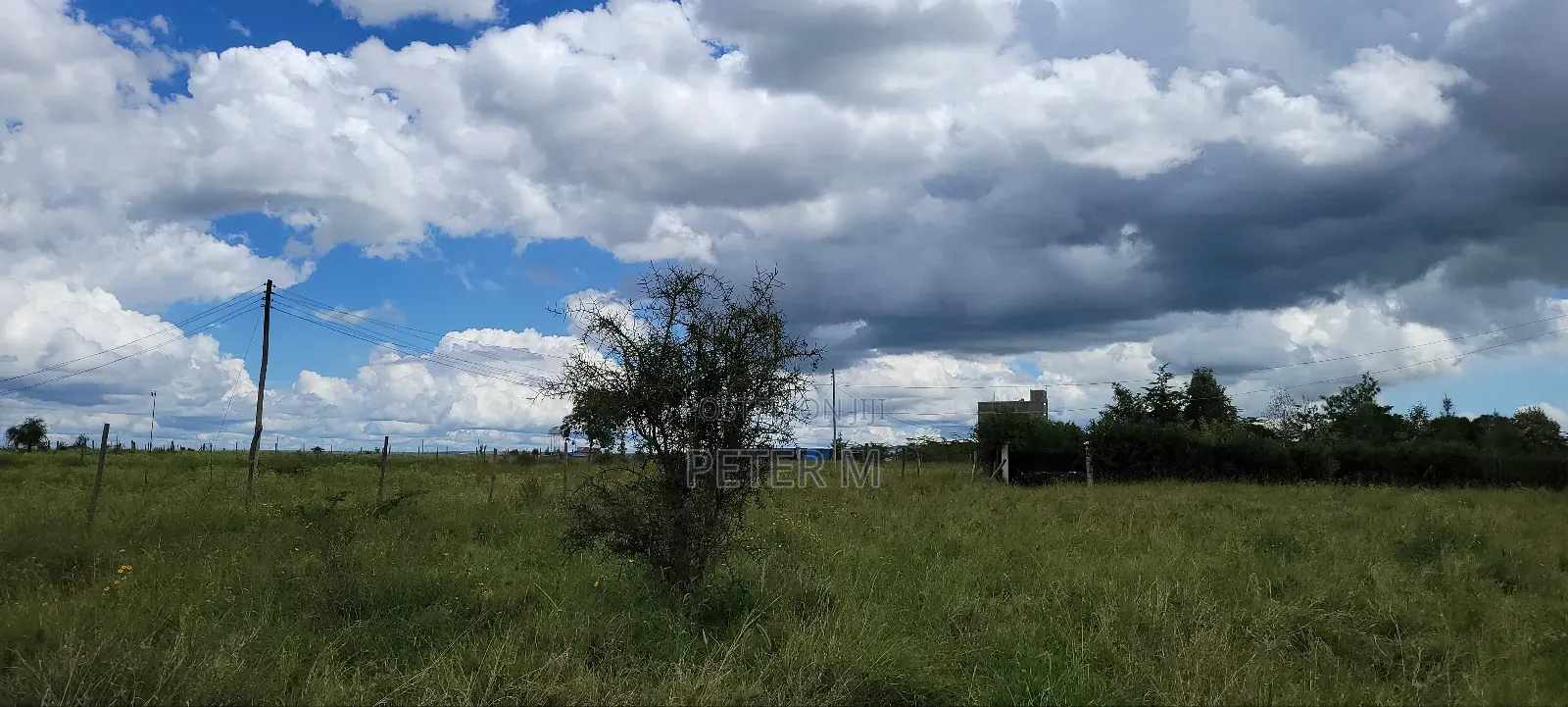 Prime 1/2 Acre Land for Sale in Kisaju