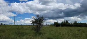 Prime 1/2 Acre Land for Sale in Kisaju