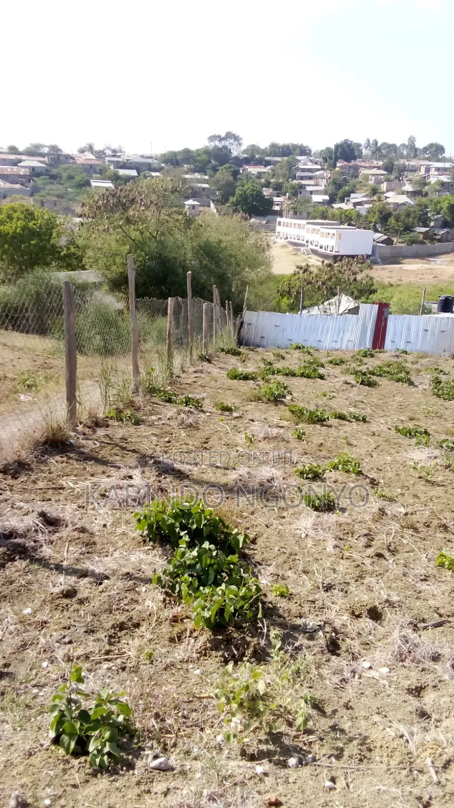 Land for Sale