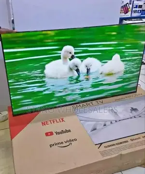 Frameless Webos Vitron 55 Inch Television