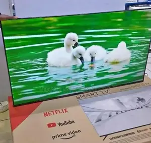 Youtube Netflix Webos Vitron 55 Inch Television