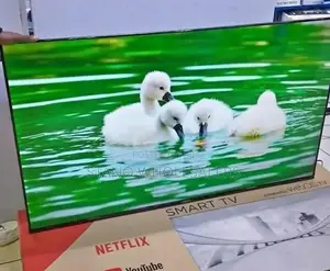 Youtube Netflix Webos Vitron 55 Inch Television