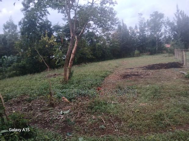 Plot 50 by 100 - main view