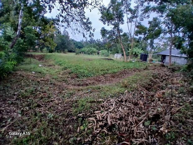 Plot 50 by 100 - thumbnail 3