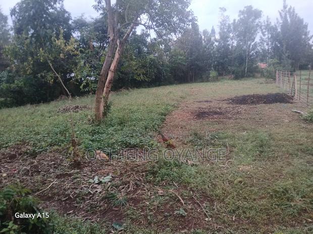 Plot 50 by 100 - thumbnail 4