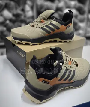 Adidas T€Rex Ax4 Gore-Tex Hiking Shoes
