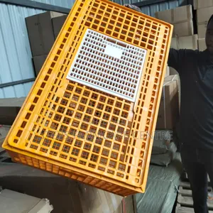 Chicken Transportation Crates