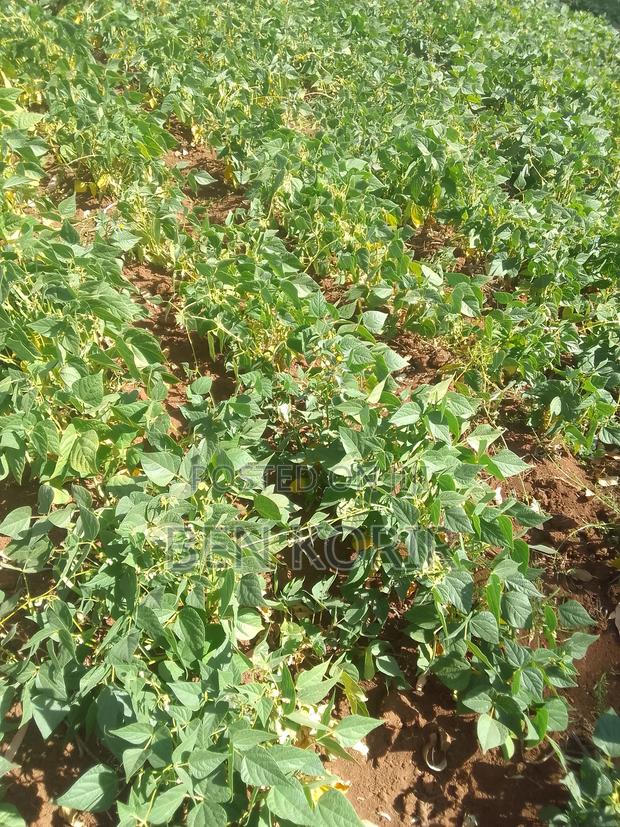 Land For Sale - main view