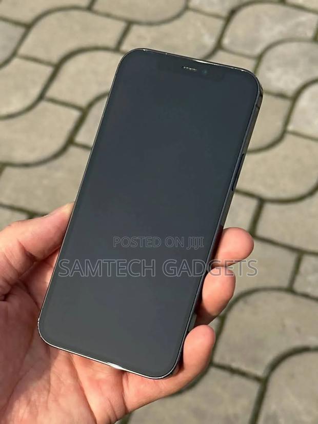 Apple iPhone 12 Pro Max 256 GB Green - thumbnail 5