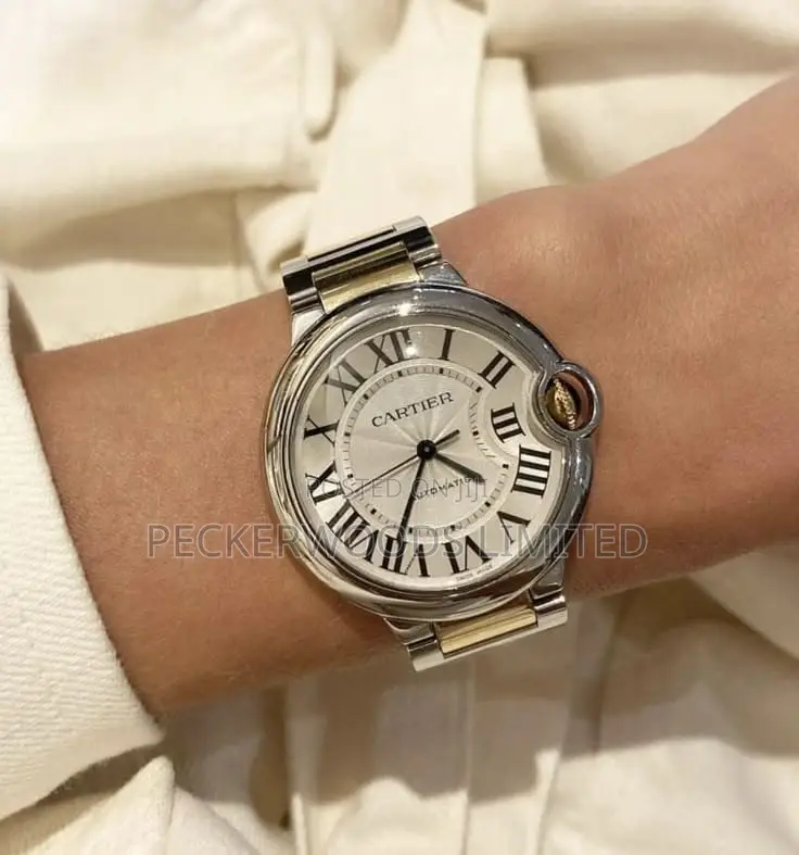 Gold Silver Watches