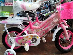 Ladybird Bike Size 16