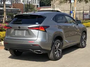 Lexus NX 2019 Silver
