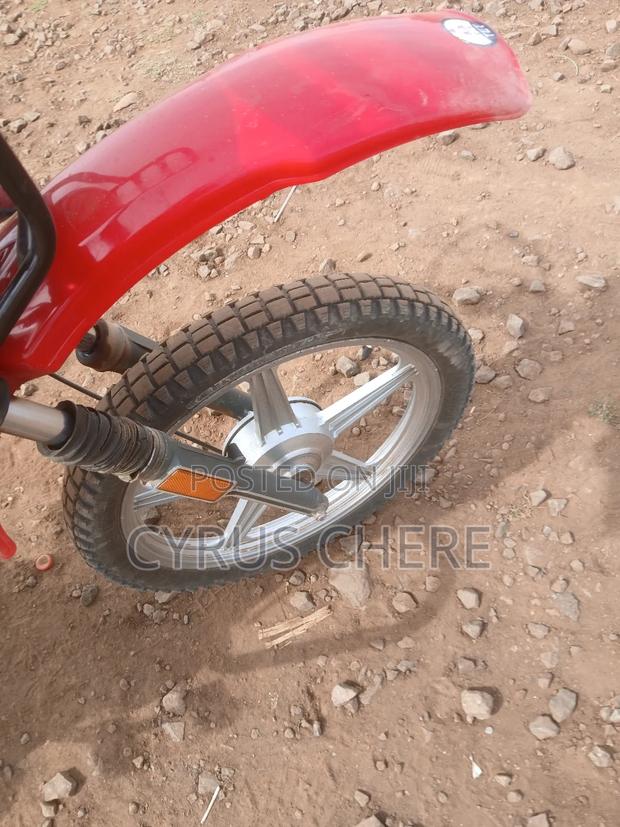 Skygo 2022 Red - thumbnail 4