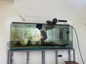 Aquarium Services - main view