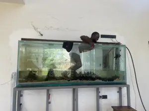 Aquarium Services