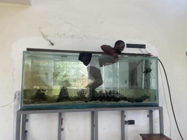 Aquarium Services