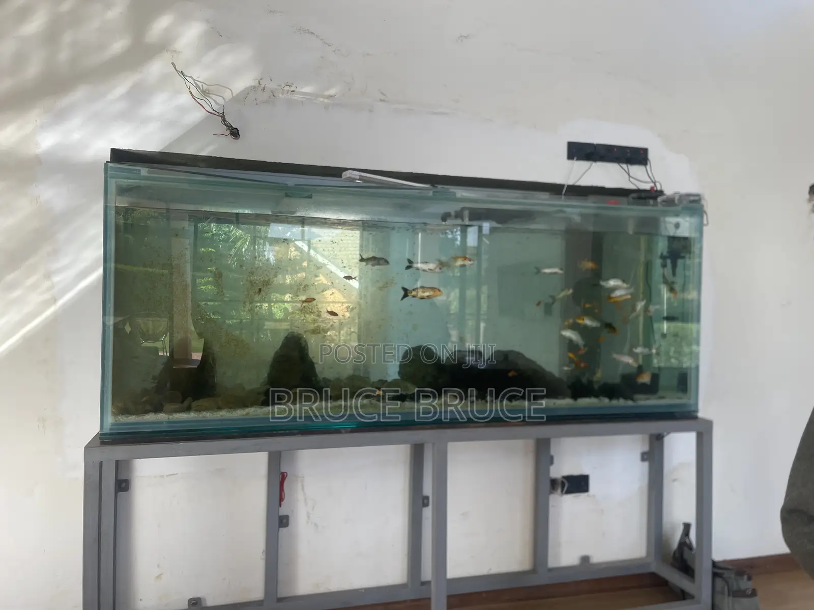 Aquarium Services