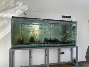 Aquarium Services
