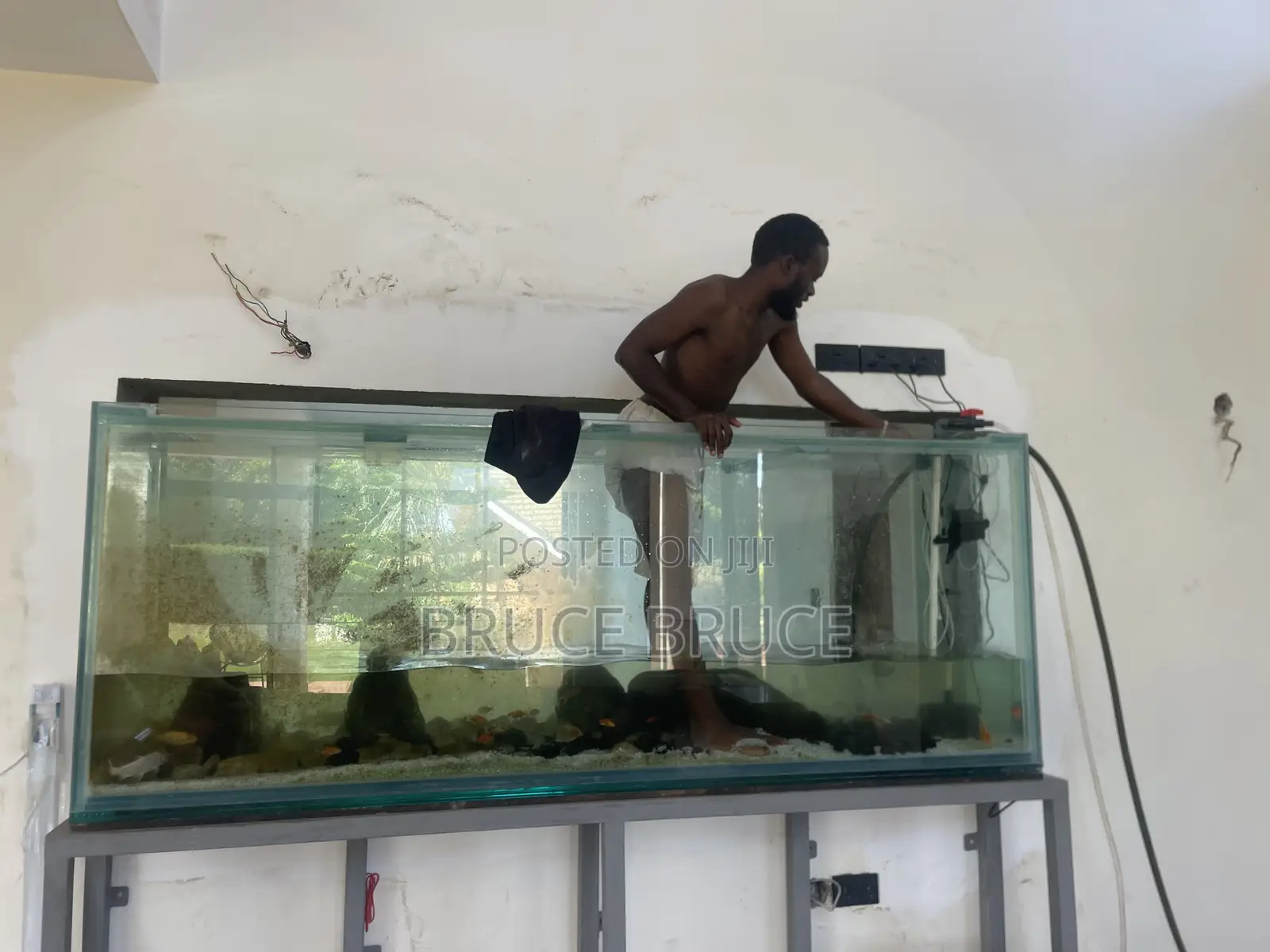 Aquarium Services