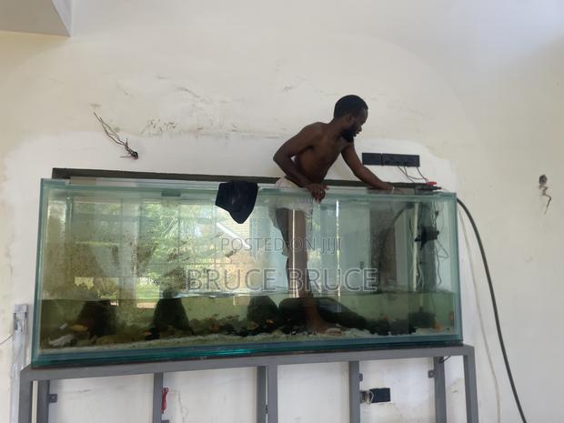 Aquarium Services - thumbnail 2