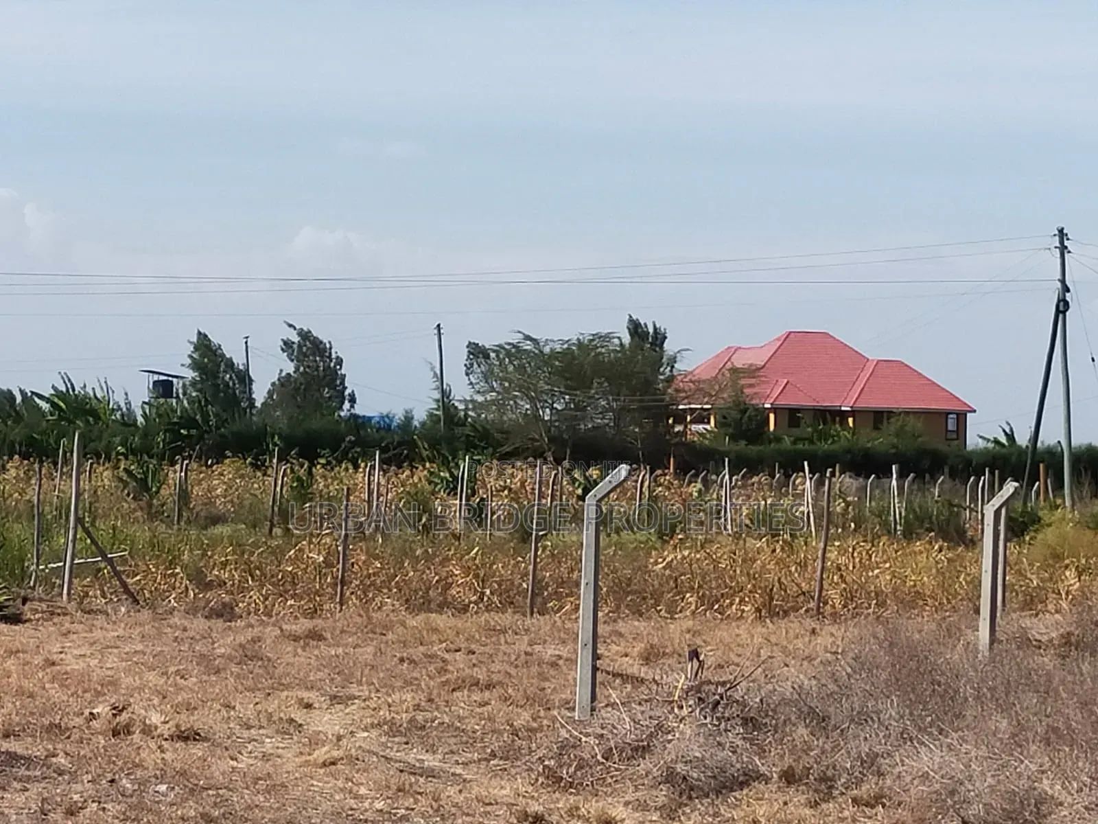 100x100 Plot for Sale (Quarter an Acre)