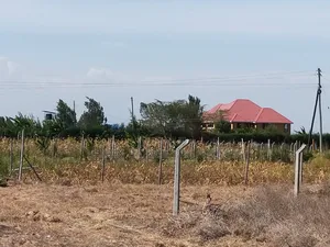 100x100 Plot for Sale (Quarter an Acre)