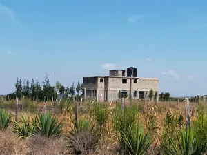100x100 Plot for Sale (Quarter an Acre)
