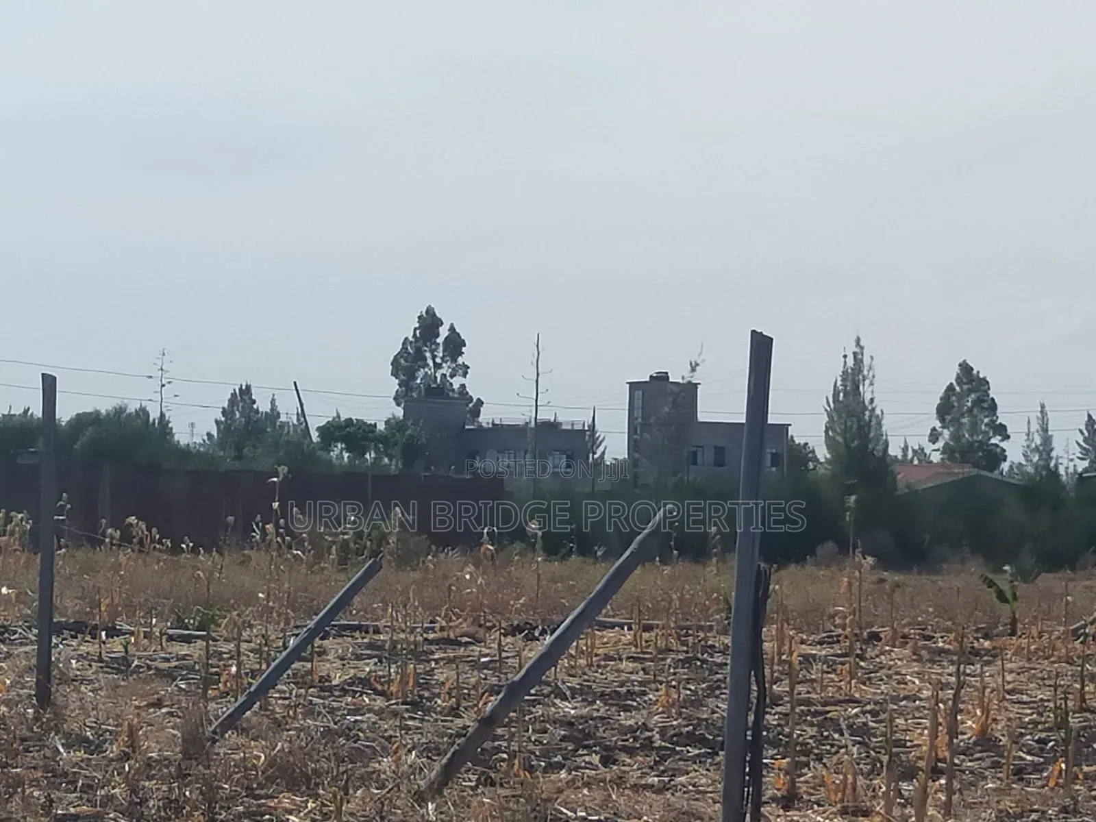 100x100 Plot for Sale (Quarter an Acre)