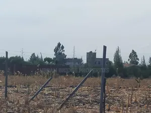 100x100 Plot for Sale (Quarter an Acre)