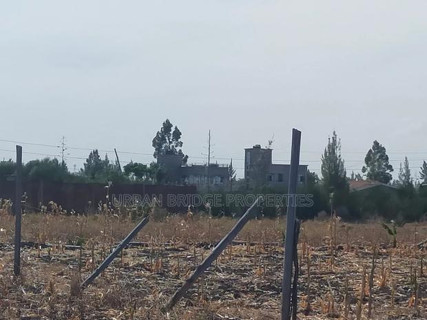 100x100 Plot for Sale (Quarter an Acre) - thumbnail 4