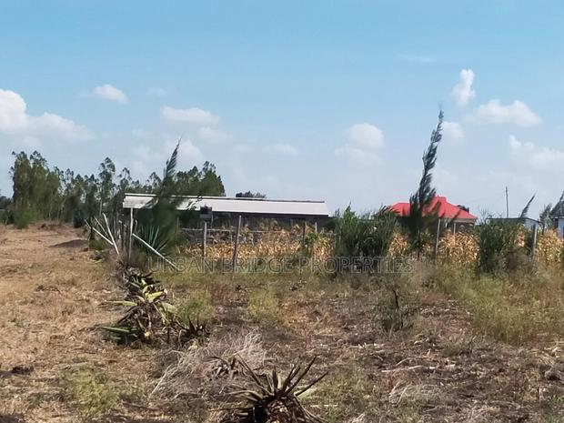 100x100 Plot for Sale (Quarter an Acre) - thumbnail 6