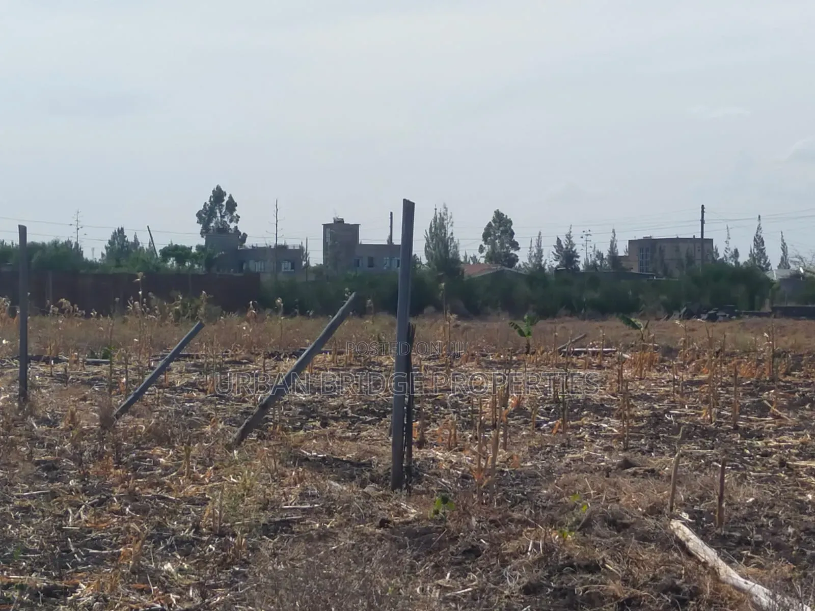 100x100 Plot for Sale (Quarter an Acre)