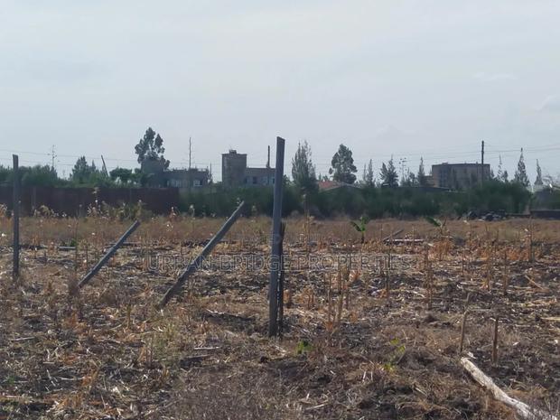 100x100 Plot for Sale (Quarter an Acre) - thumbnail 8