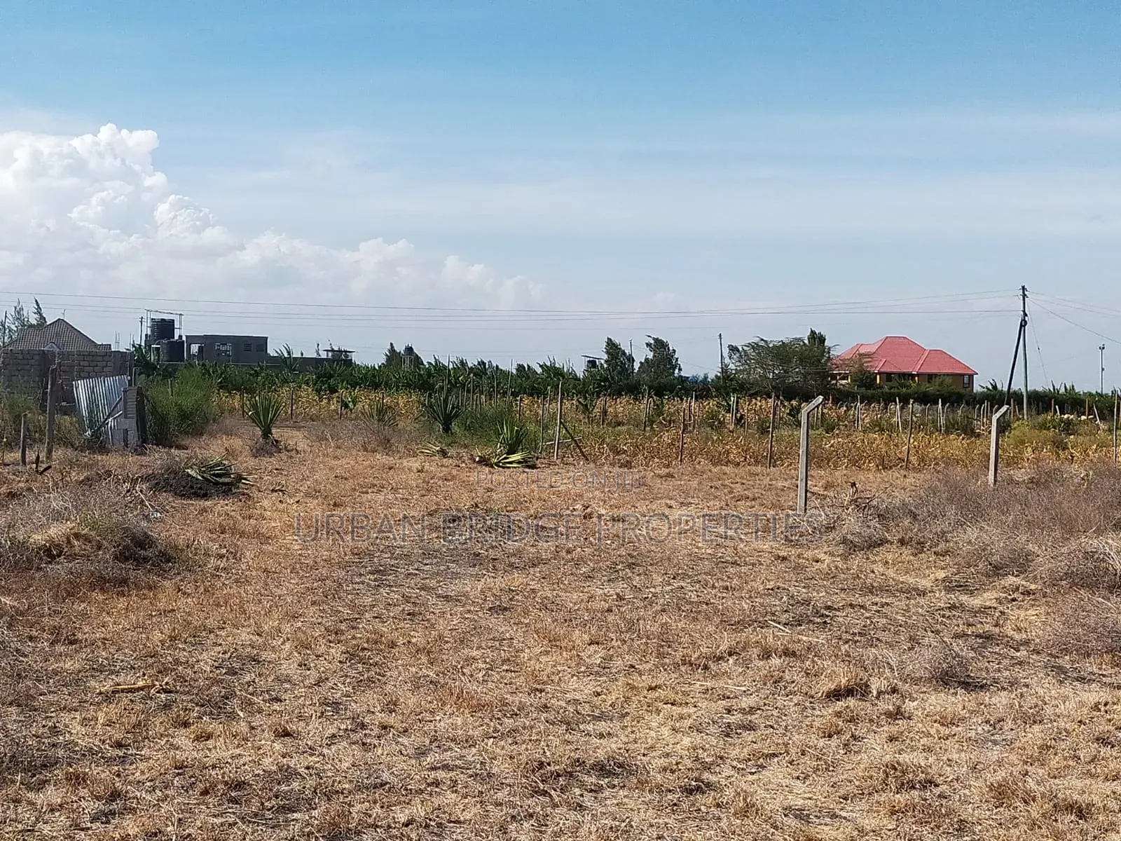 100x100 Plot for Sale (Quarter an Acre)