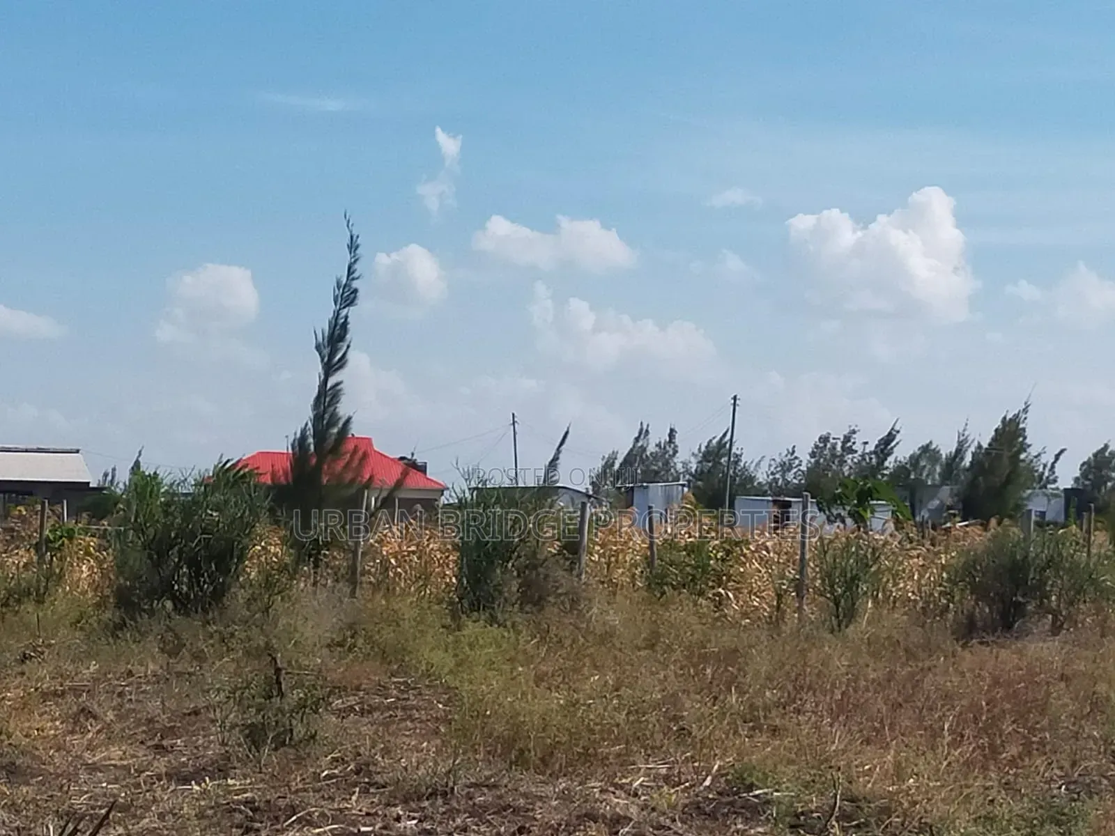 100x100 Plot for Sale (Quarter an Acre)