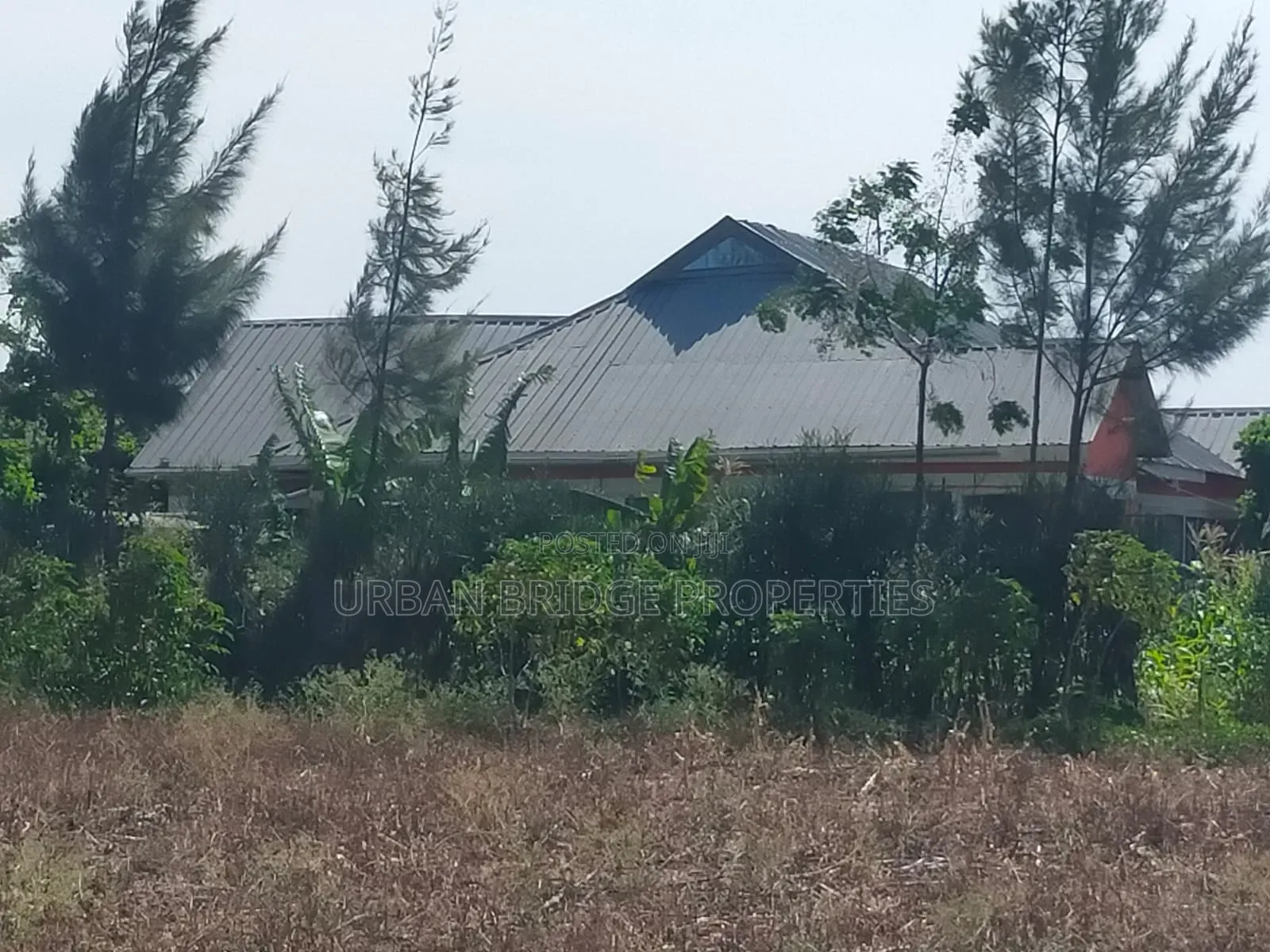 100x100 Plot for Sale (Quarter an Acre)