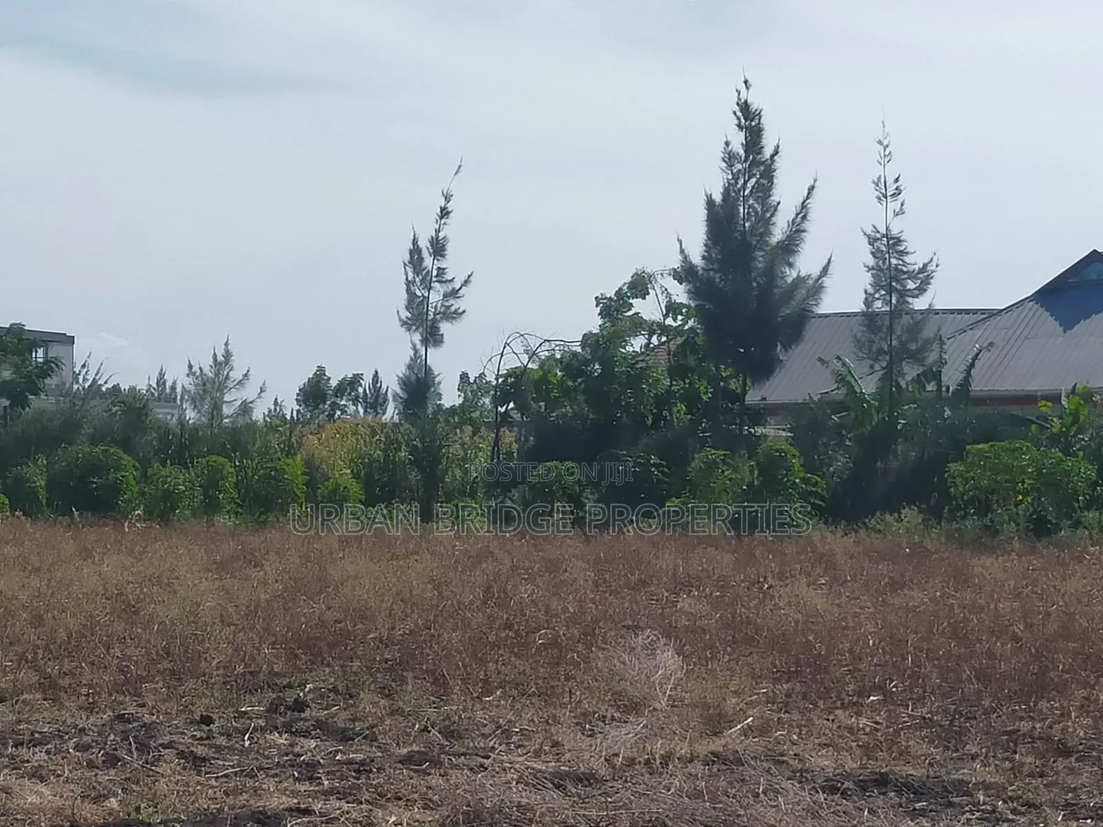 100x100 Plot for Sale (Quarter an Acre)