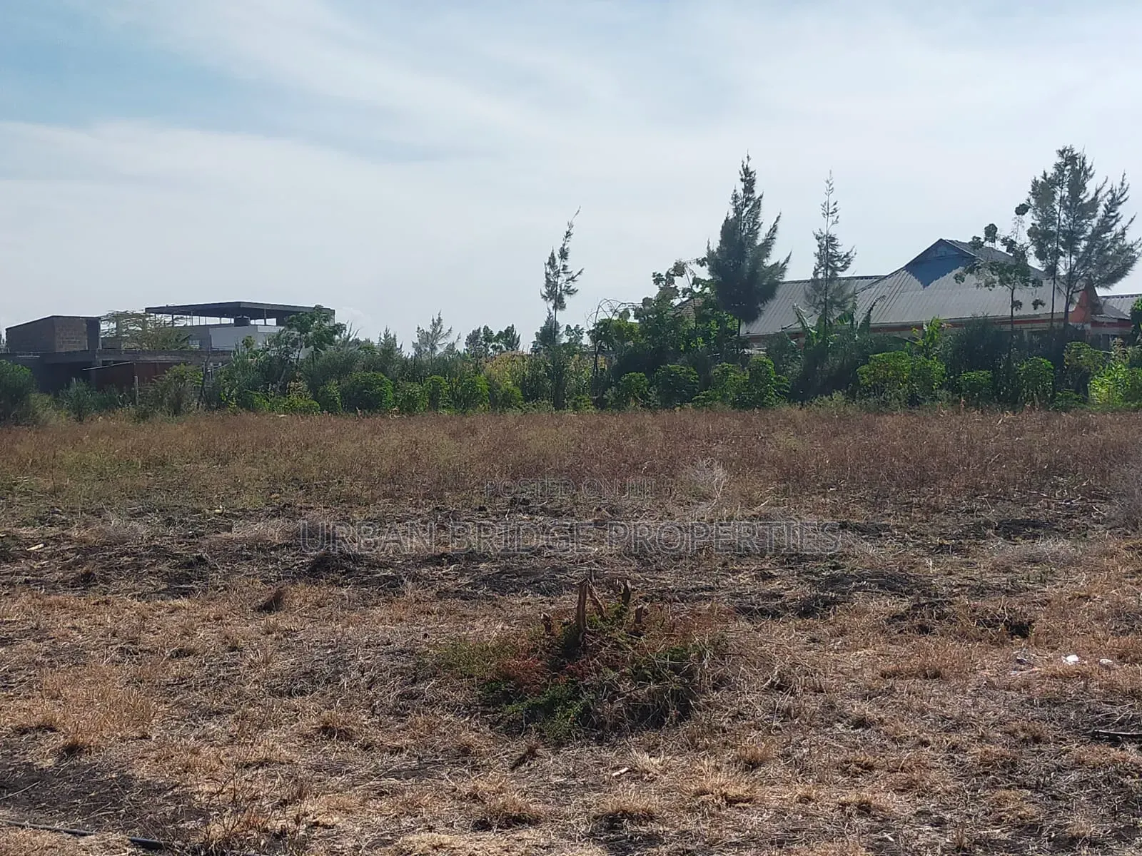 100x100 Plot for Sale (Quarter an Acre)