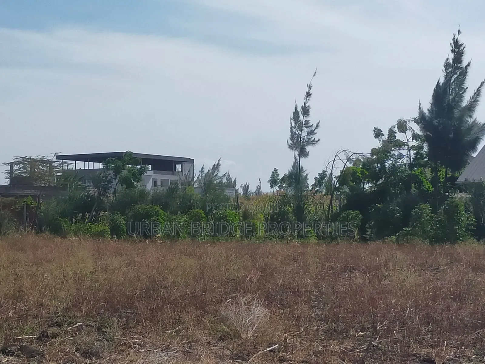 100x100 Plot for Sale (Quarter an Acre)