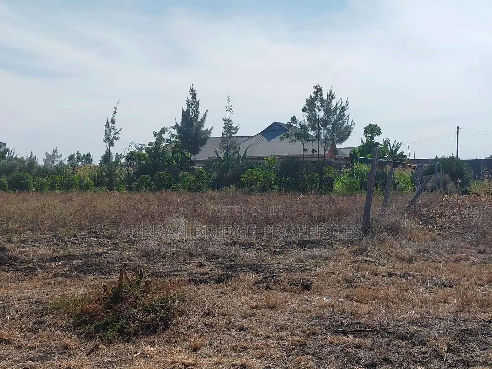 100x100 Plot for Sale (Quarter an Acre)