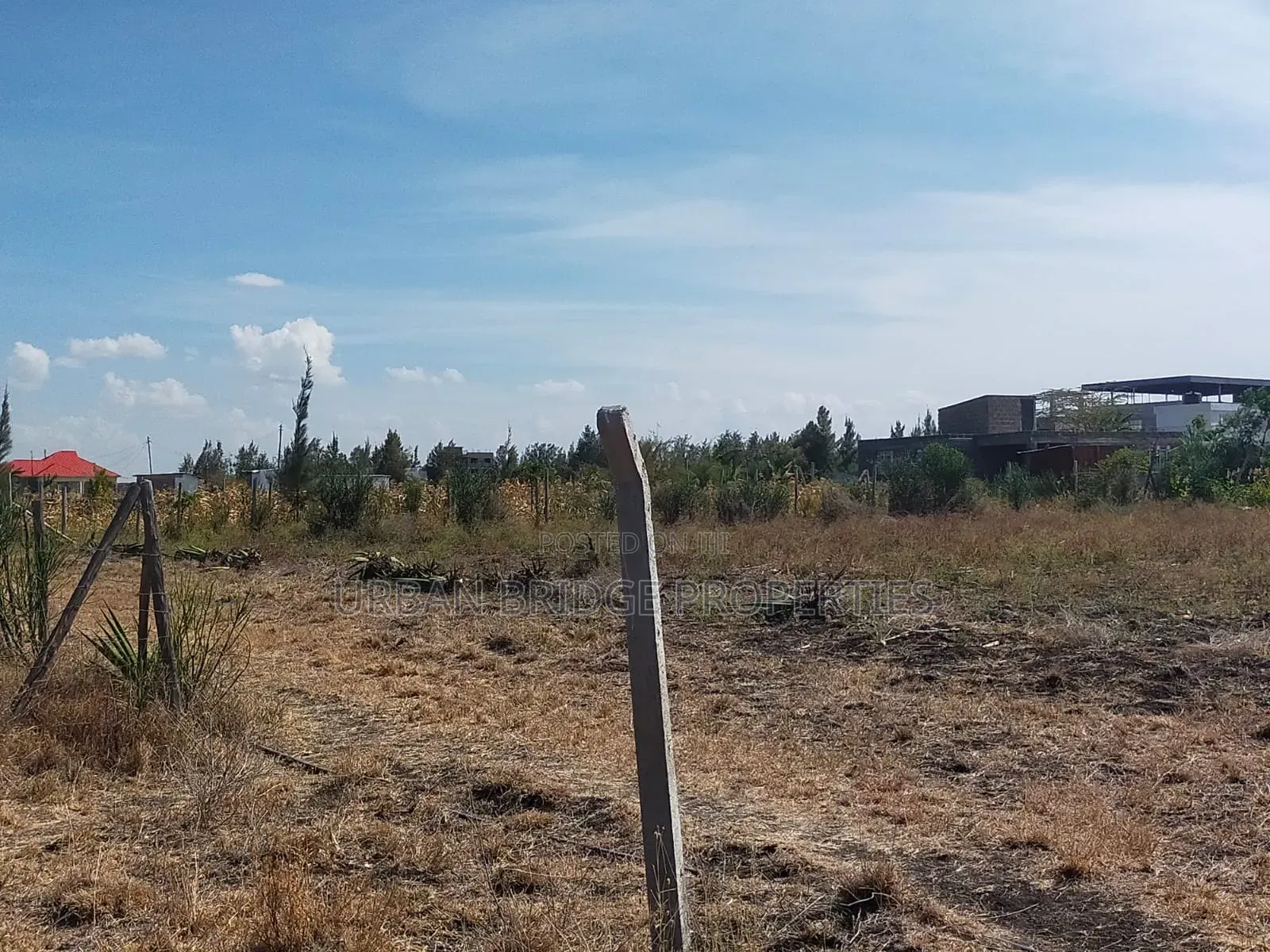 100x100 Plot for Sale (Quarter an Acre)