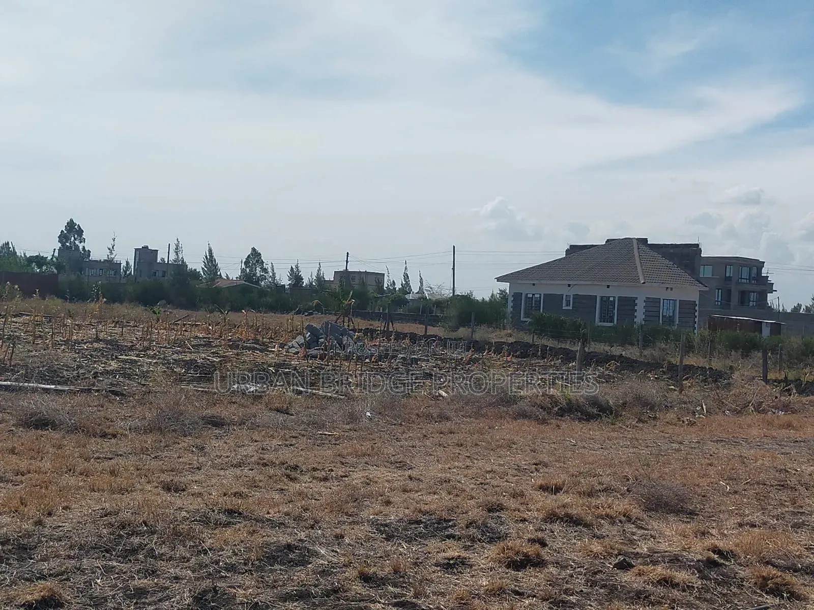 100x100 Plot for Sale (Quarter an Acre)