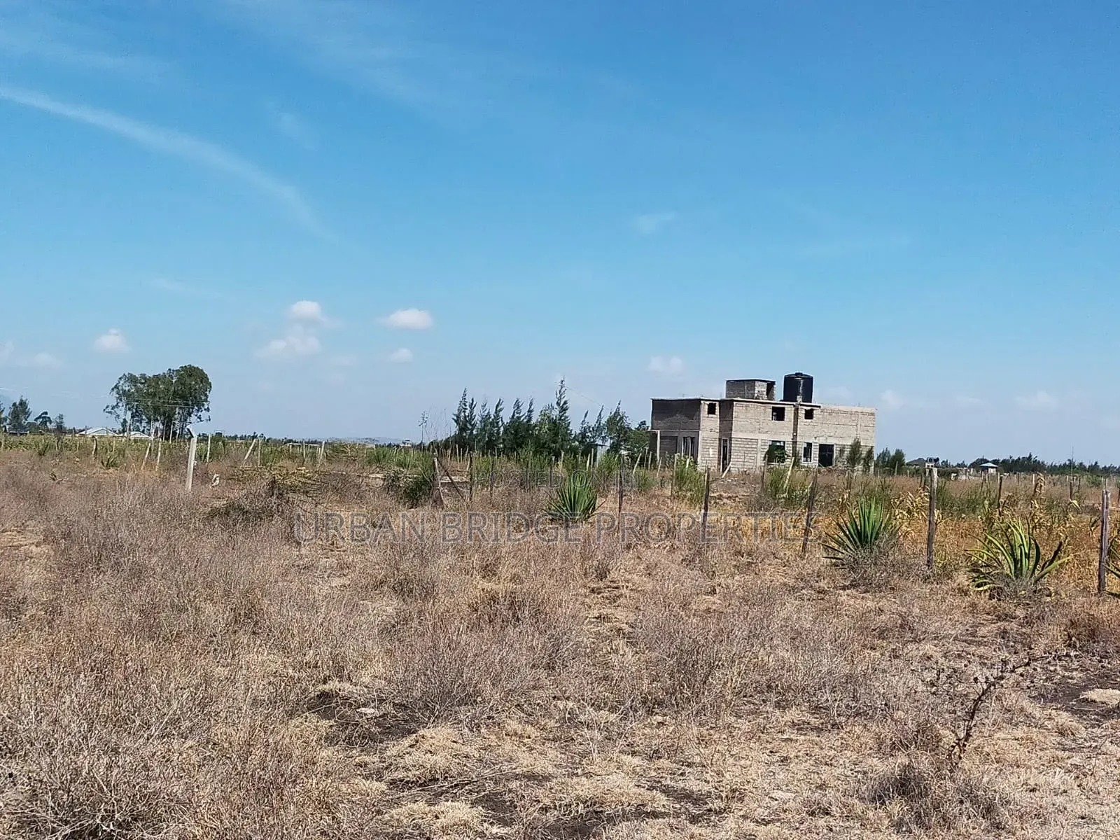 100x100 Plot for Sale (Quarter an Acre)