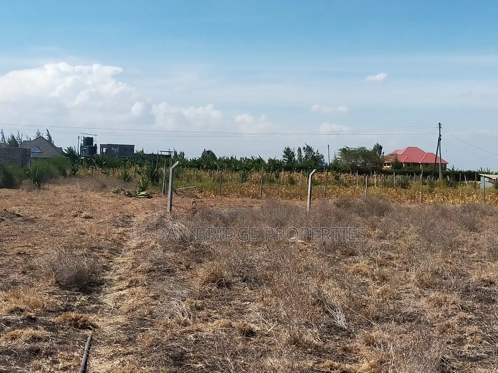 100x100 Plot for Sale (Quarter an Acre)