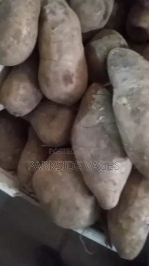 Yakon Fruits