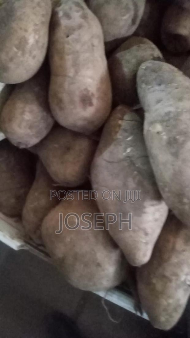 Yakon Fruits - main view