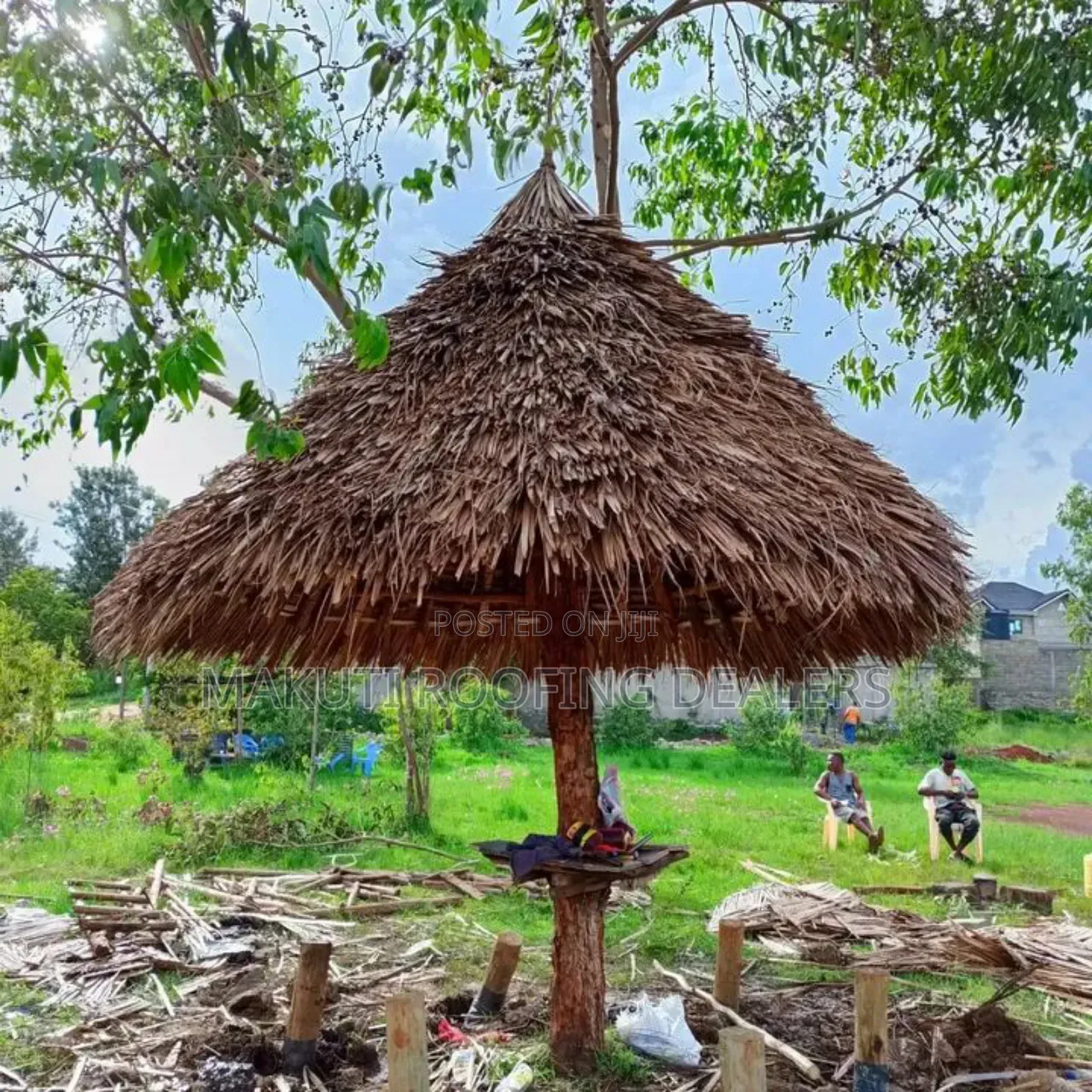 Tree Makuti Gazebo Dealers